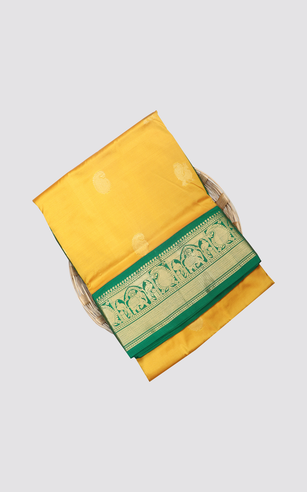 Mustard Yellow and Green 10 Yards Pure Silk Saree